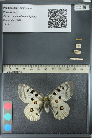 Media type: image;   Entomology 175446